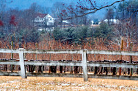 Cardinal Point Winery Feb 2009