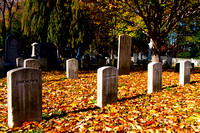 USMA Cemetery Nov 2010