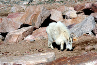 Mt Evans 23 Jun 2007